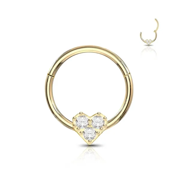 Piercing Segment Ring con Cuore in Acciaio 316L Oro Open Tattoo Supply