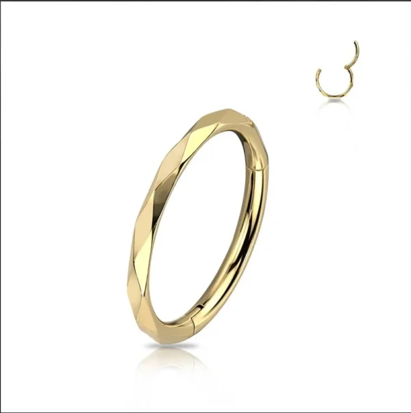 Piercing Segment Ring in acciaio 316L Oro Open Tattoo Supply